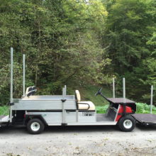 Golfette vehicule travelling